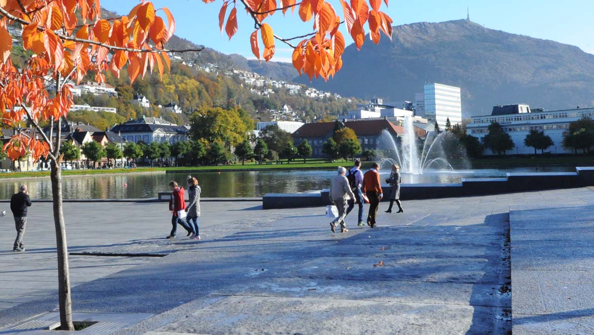 Høst på Festplassen, Foto: Nina Blågestad